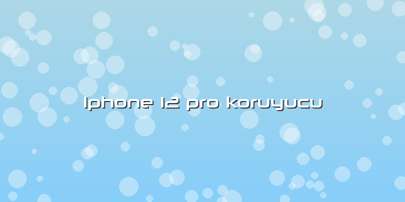 Iphone 12 Pro Koruyucu