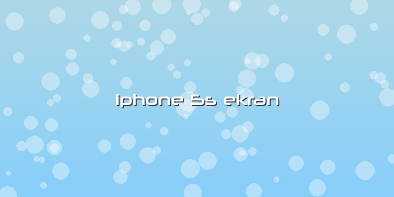 Iphone 5s Ekran