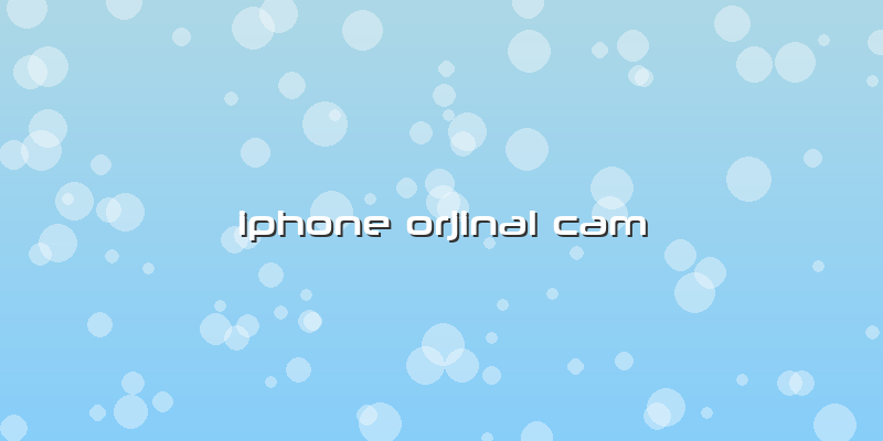 Iphone Orjinal Cam