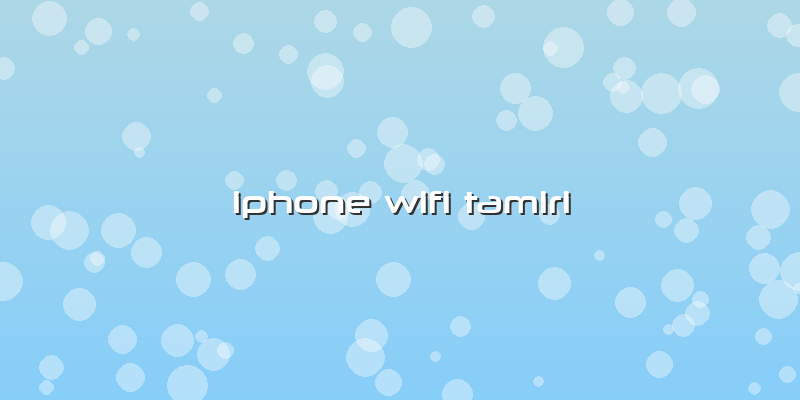 Iphone Wifi Tamiri