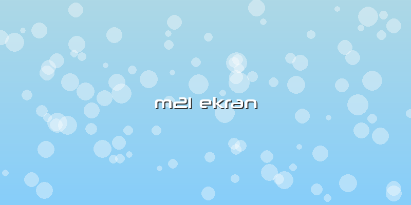 M21 Ekran