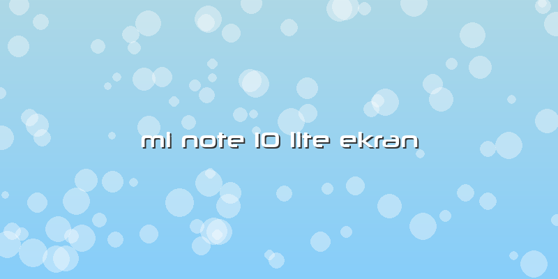 Mi Note 10 Lite Ekran