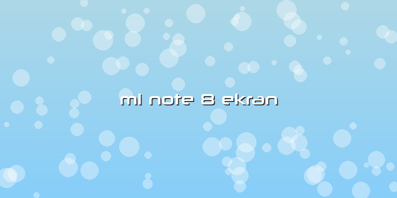Mi Note 8 Ekran