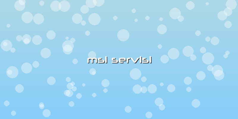 Msi Servisi