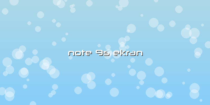 Note 9s Ekran