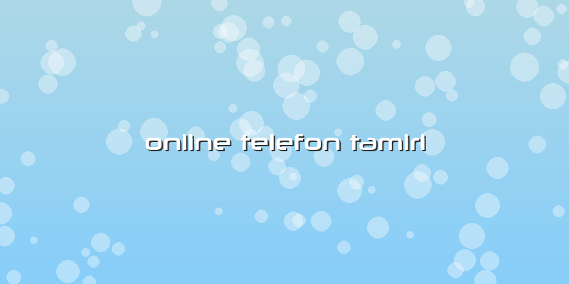 Online Telefon Tamiri