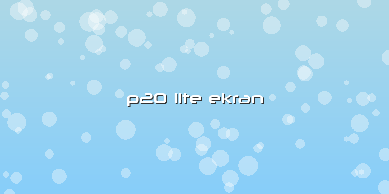 P20 Lite Ekran