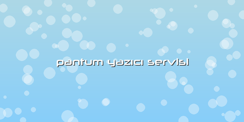 Pantum Yazıcı Servisi