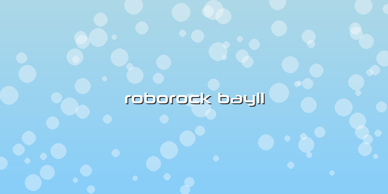 Roborock Bayii