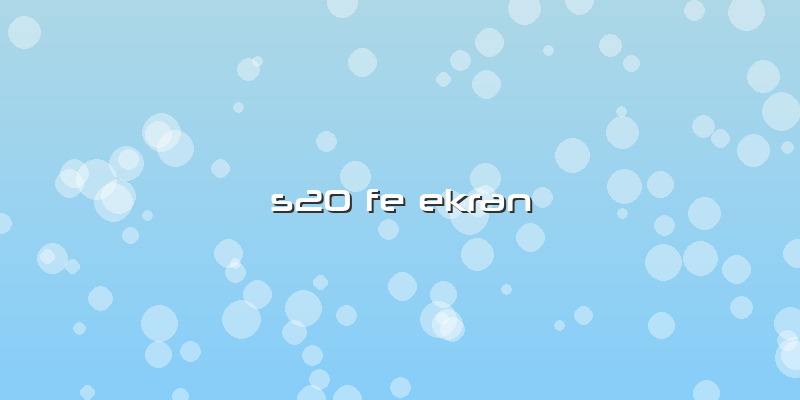 S20 Fe Ekran