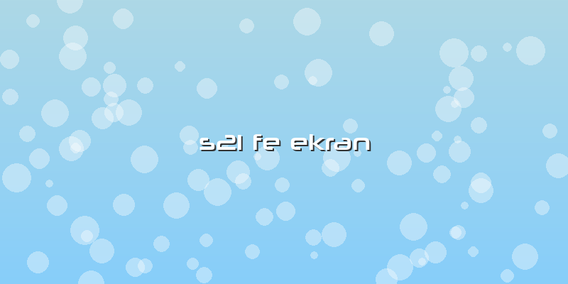 S21 Fe Ekran