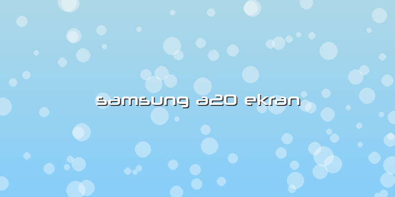 Samsung A20 Ekran