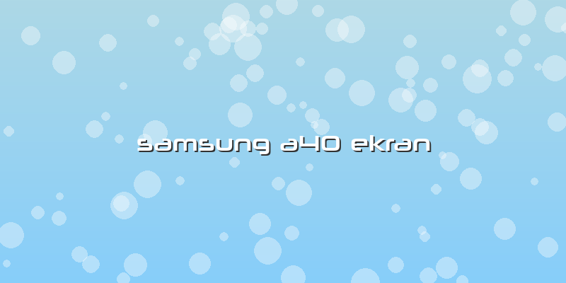 Samsung A40 Ekran