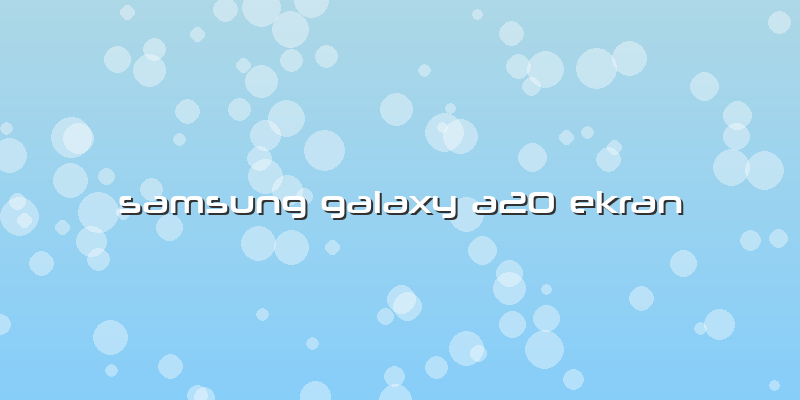 Samsung Galaxy A20 Ekran