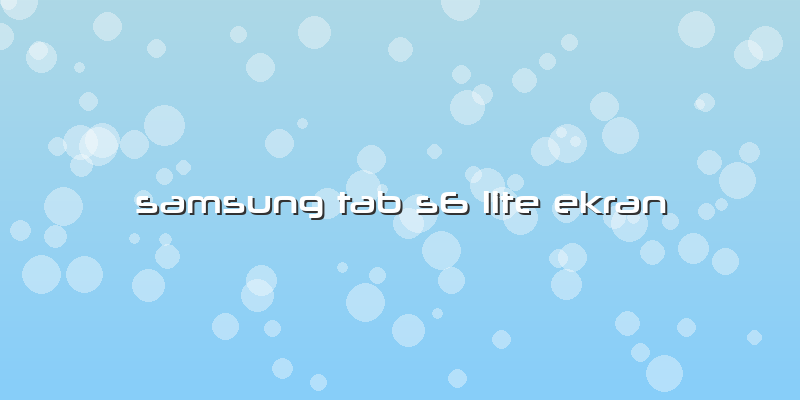 Samsung Tab S6 Lite Ekran