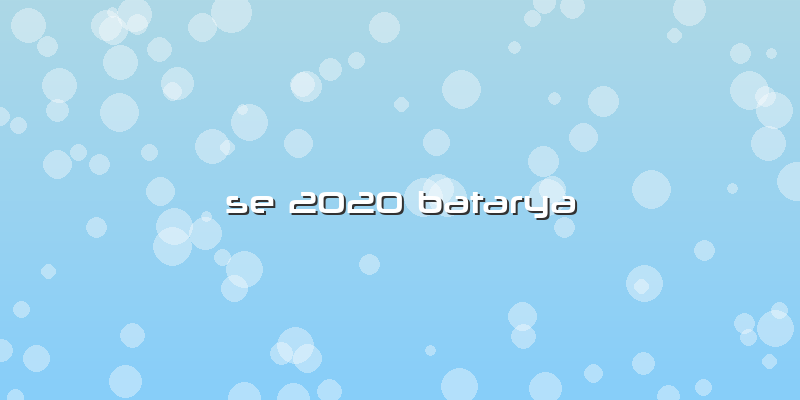 Se 2020 Batarya