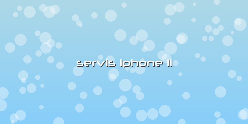 Servis Iphone 11