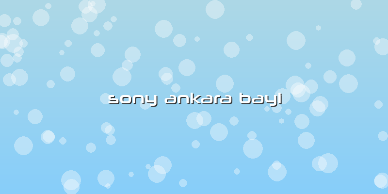 Sony Ankara Bayi