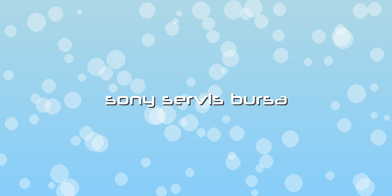 Sony Servis Bursa