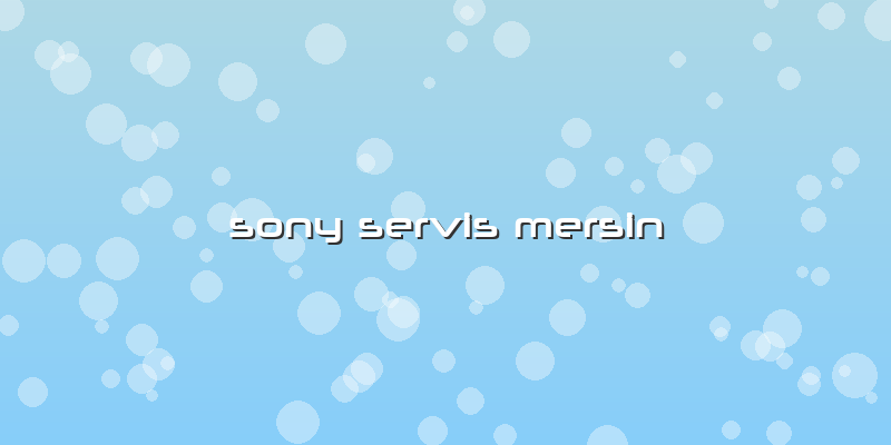 Sony Servis Mersin