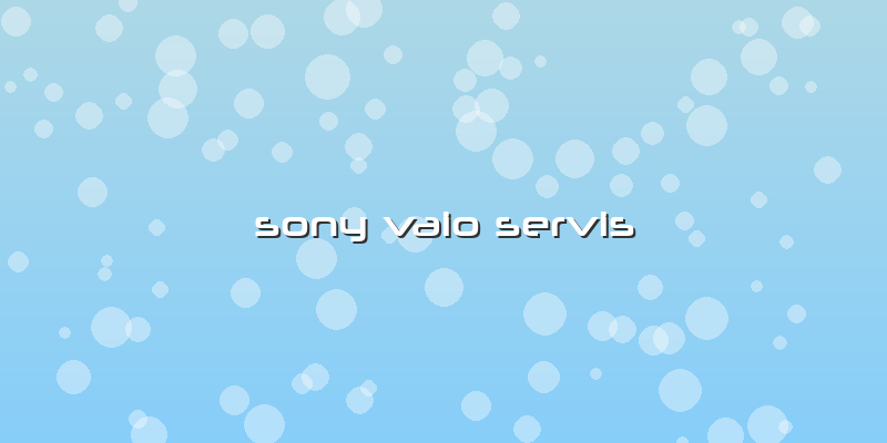 Sony Vaio Servis