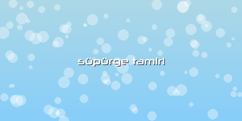 Süpürge Tamiri