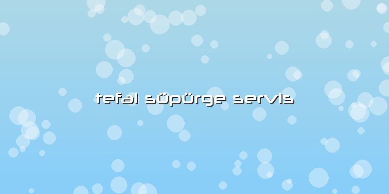 Tefal Süpürge Servis