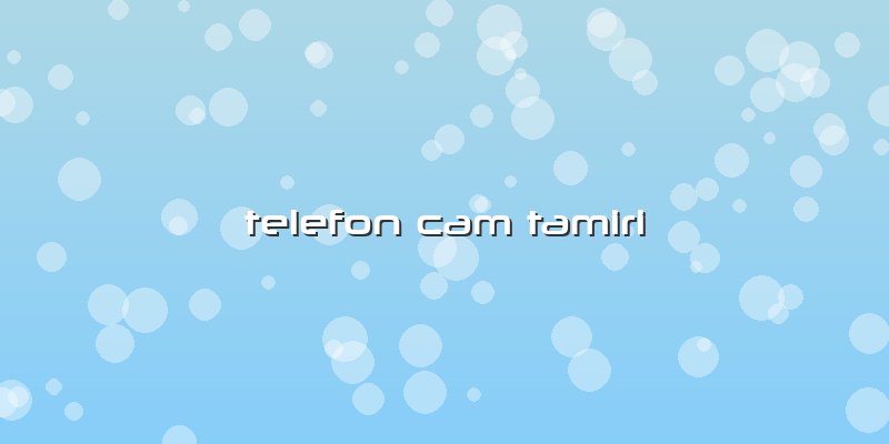 Telefon Cam Tamiri