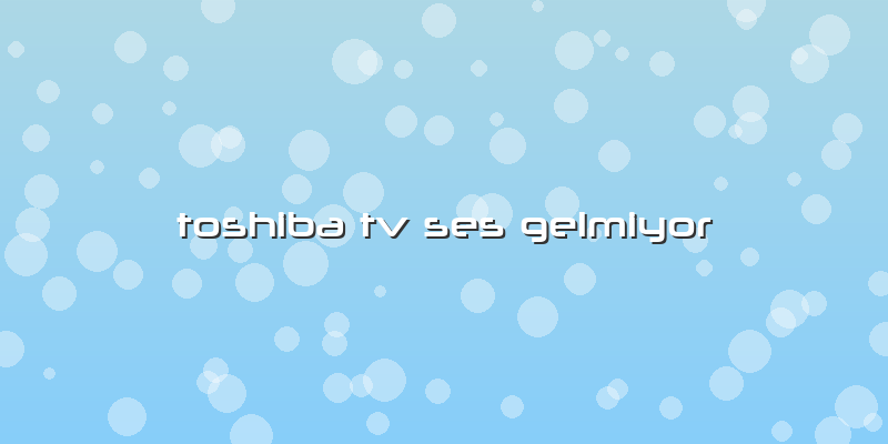Toshiba Tv Ses Gelmiyor