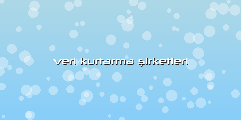 Veri Kurtarma şirketleri