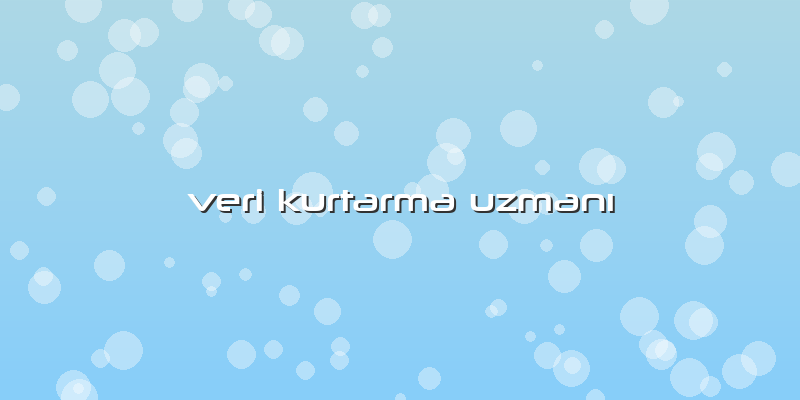Veri Kurtarma UzmanÄ±