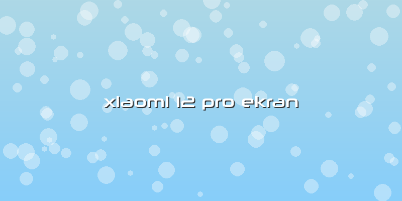Xiaomi 12 Pro Ekran
