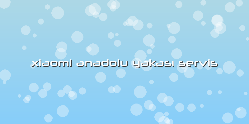 Xiaomi Anadolu Yakası Servis