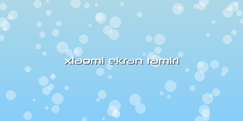 Xiaomi Ekran Tamiri