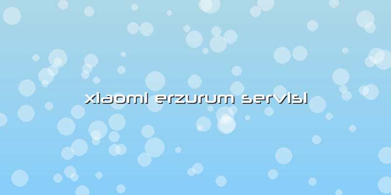 Xiaomi Erzurum Servisi