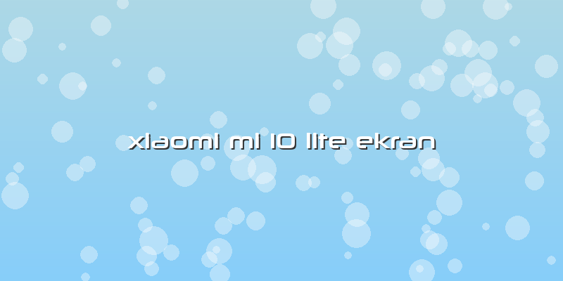 Xiaomi Mi 10 Lite Ekran