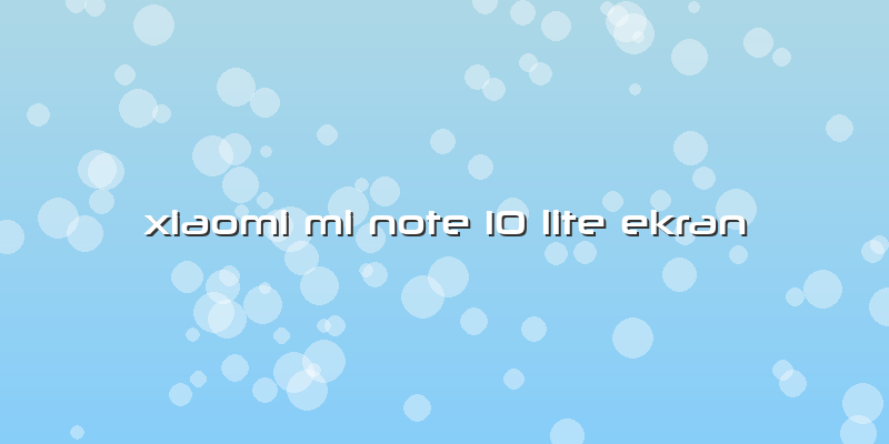 Xiaomi Mi Note 10 Lite Ekran