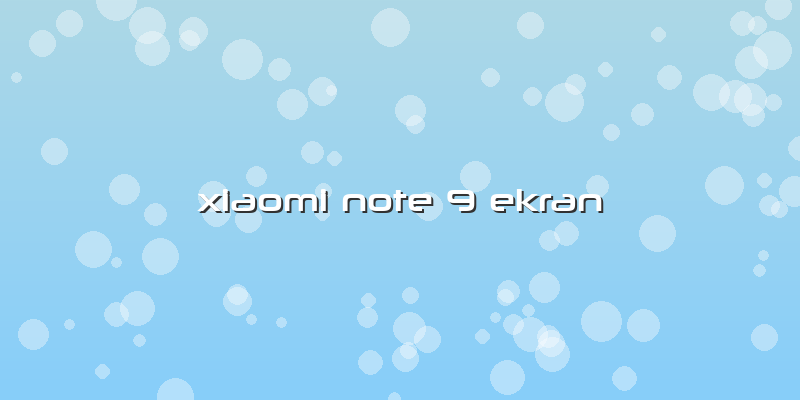 Xiaomi Note 9 Ekran