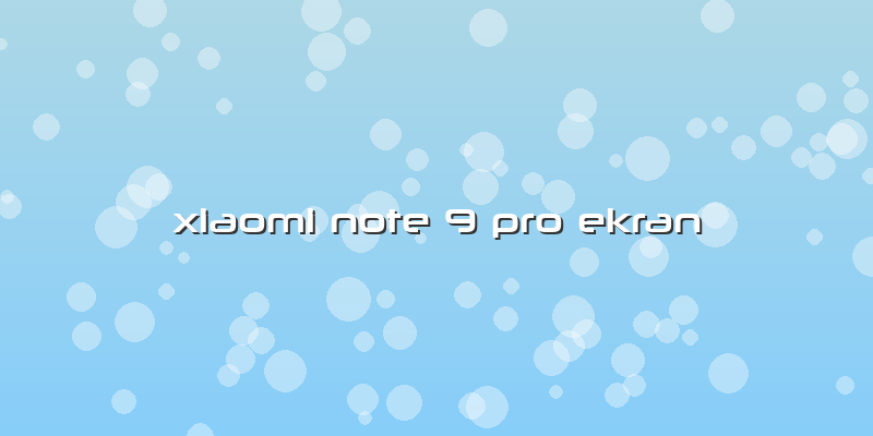 Xiaomi Note 9 Pro Ekran