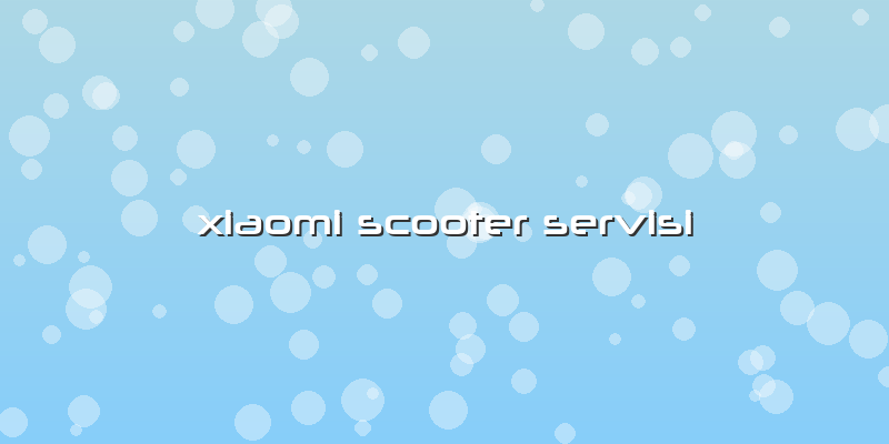 Xiaomi Scooter Servisi