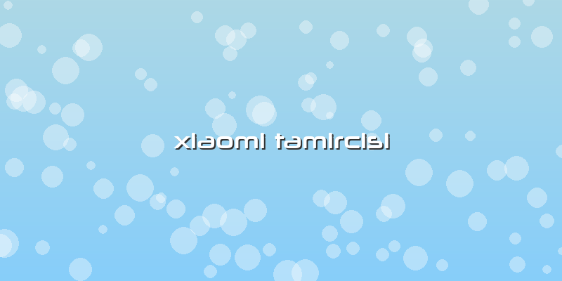 Xiaomi Tamircisi