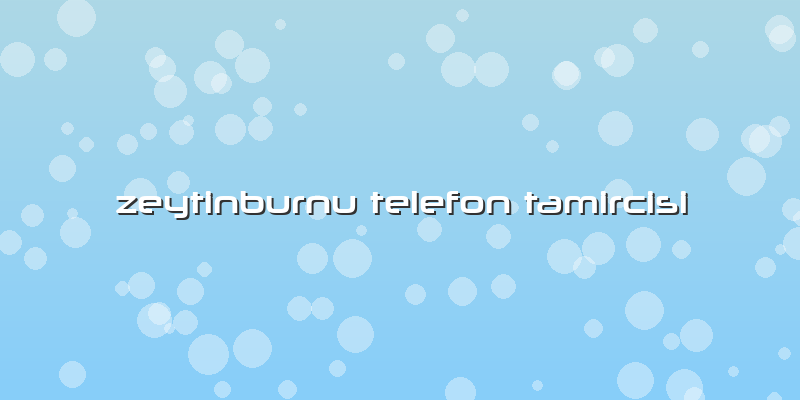 Zeytinburnu Telefon Tamircisi